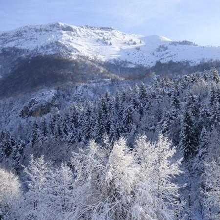 Paysage sous la neige