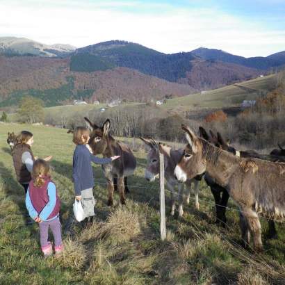 anes leisure activities at la séoube campsite near bagnères de bigorre occitanie